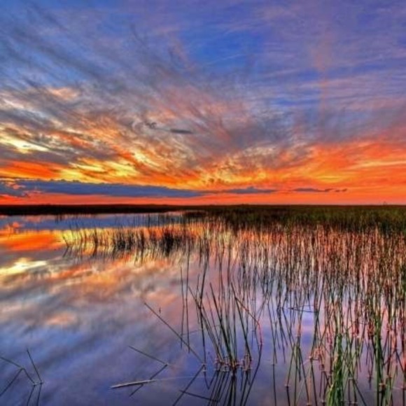 Meet your Posher, Destiny - Picture 1 of 1